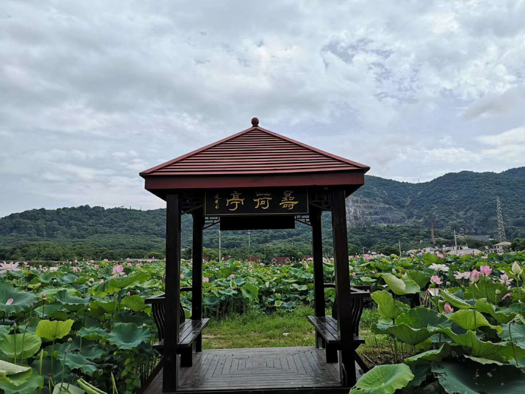 data-lemmaid="8756091">博阳河 /a>生态风景区是由德安县母亲河