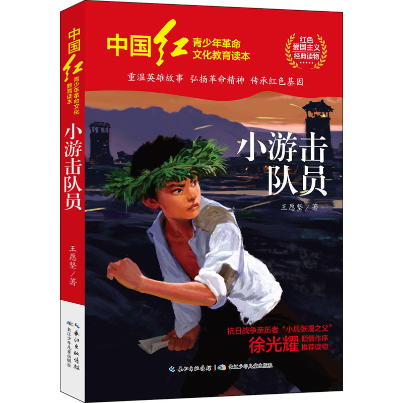 小游击队员