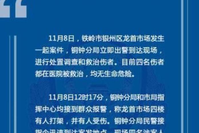 11·8铁岭持刀砍人案