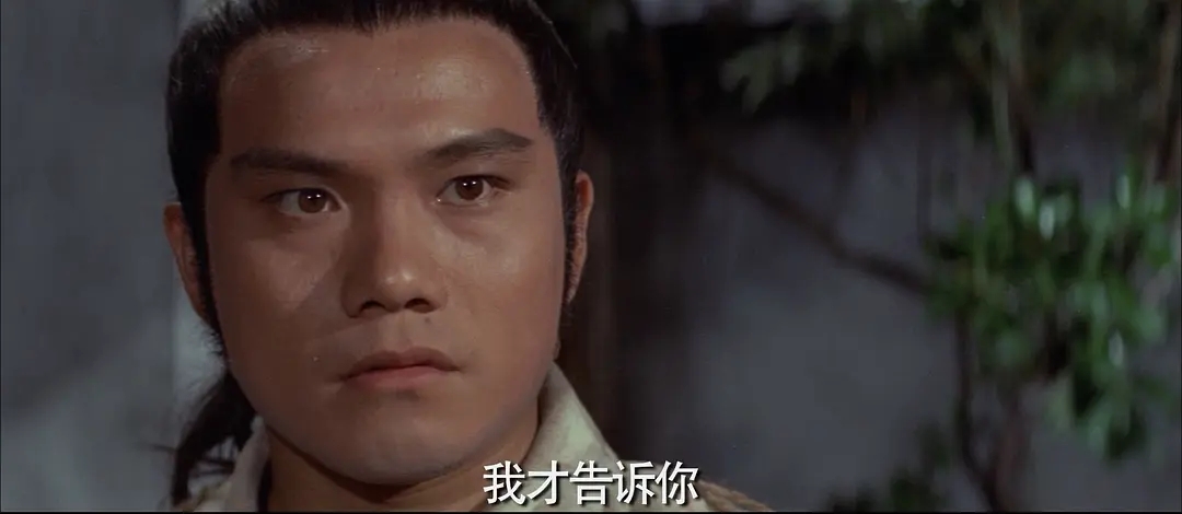 data-lemmaid="4537062">王天林 /a>执导及编剧,1971年的《追击》乃