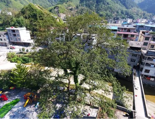 target="_blank" href="/item/龙山县/10370195" data