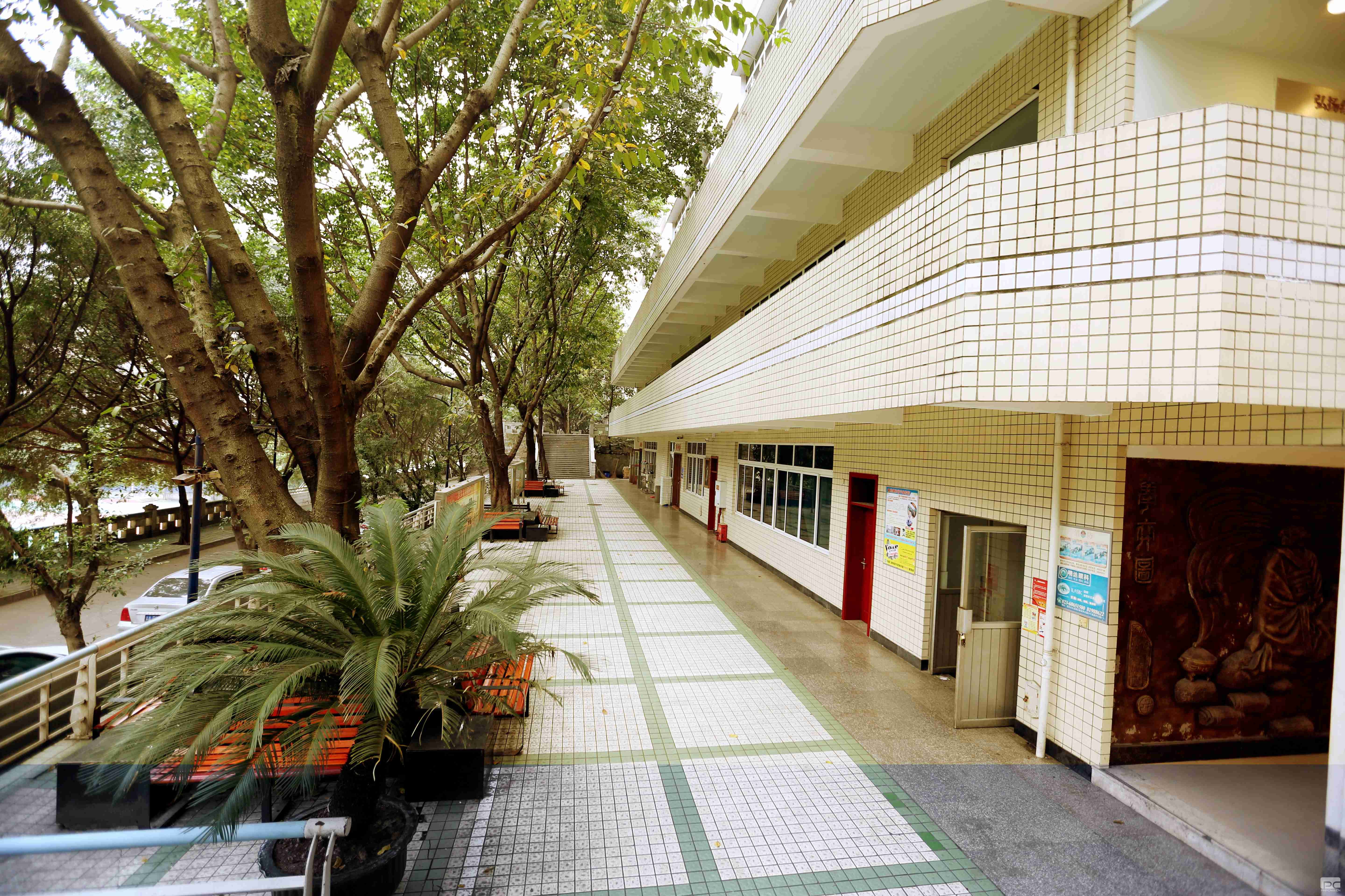 重庆市第二十九中学校