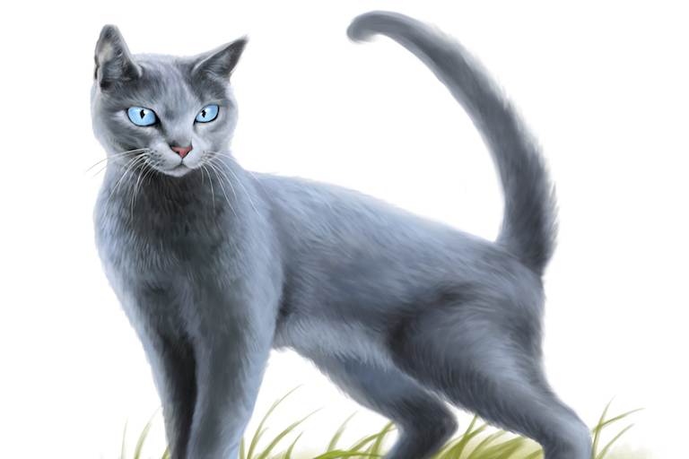  p data-id="gnwmrn25tp">《 a target="_blank" href="/item/猫武士