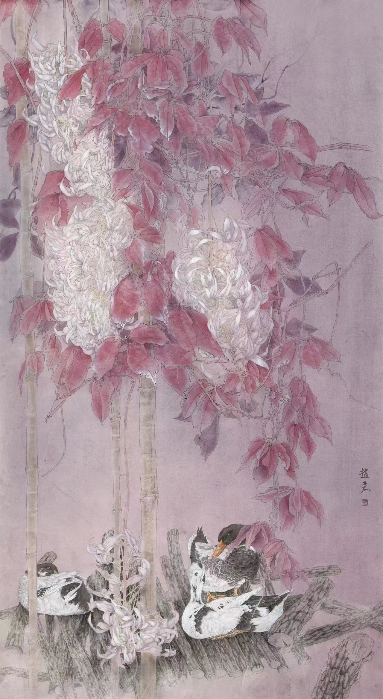 赵丽