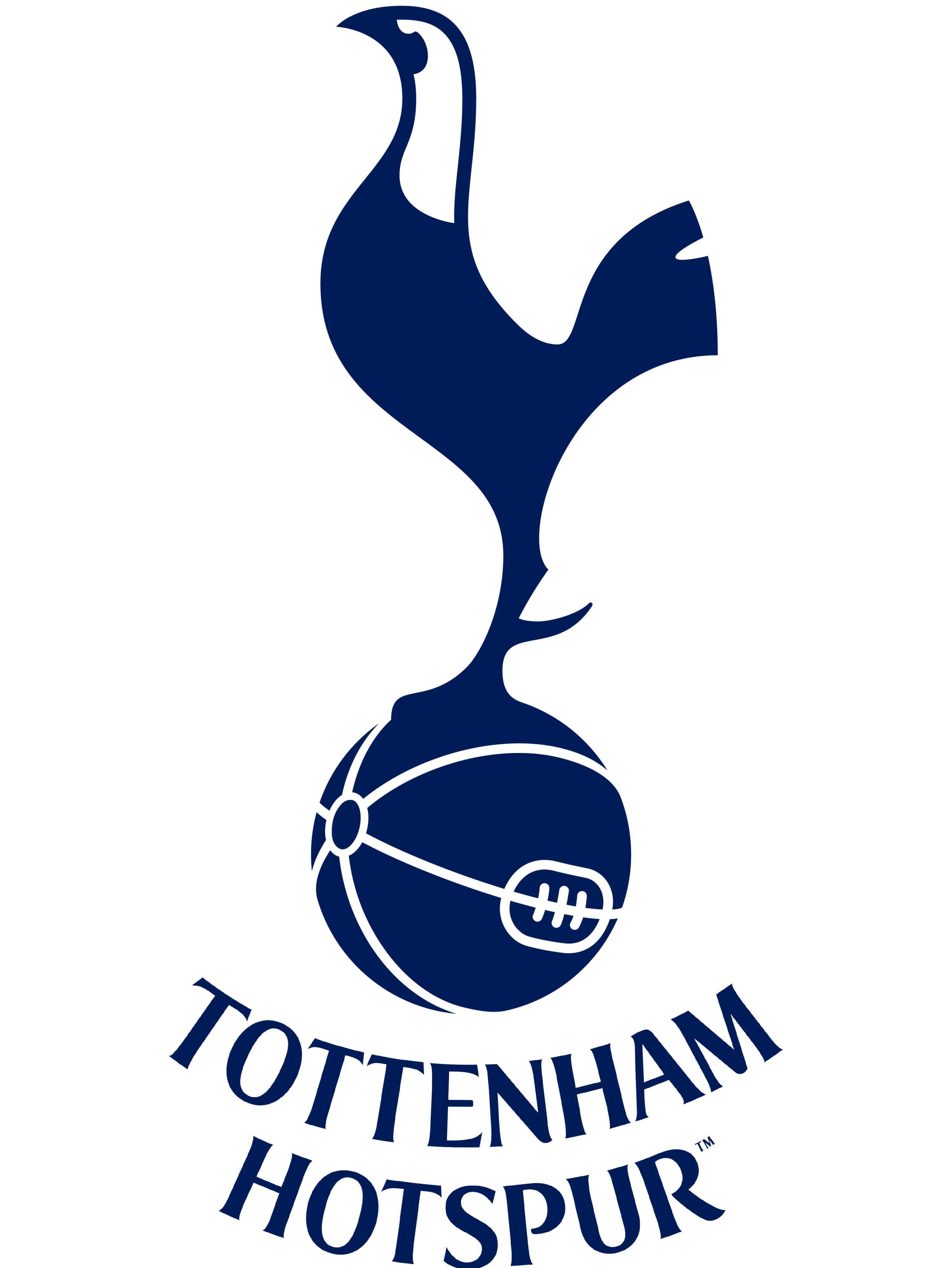  p>托特纳姆热刺足球俱乐部(tottenham hotspur f.c.