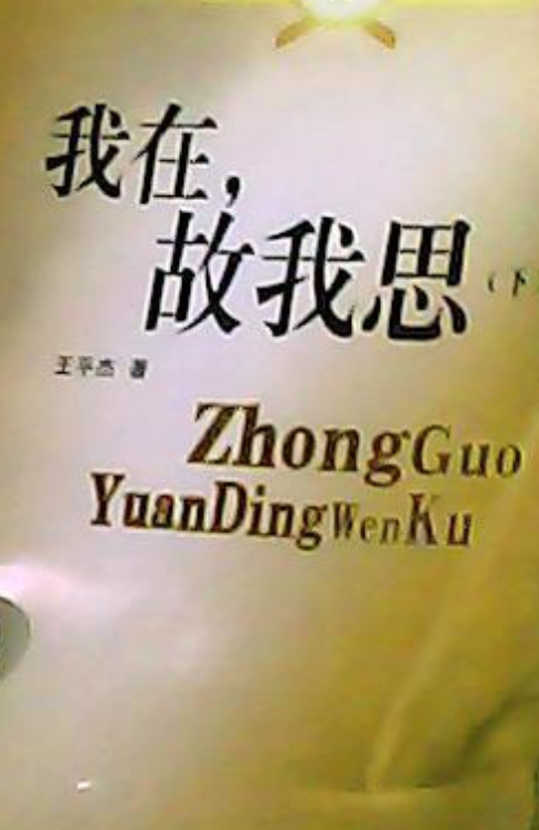 我在,故我思