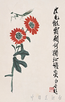 红菊螳螂