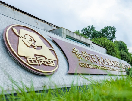 贵州百灵企业集团制药股份有限公司