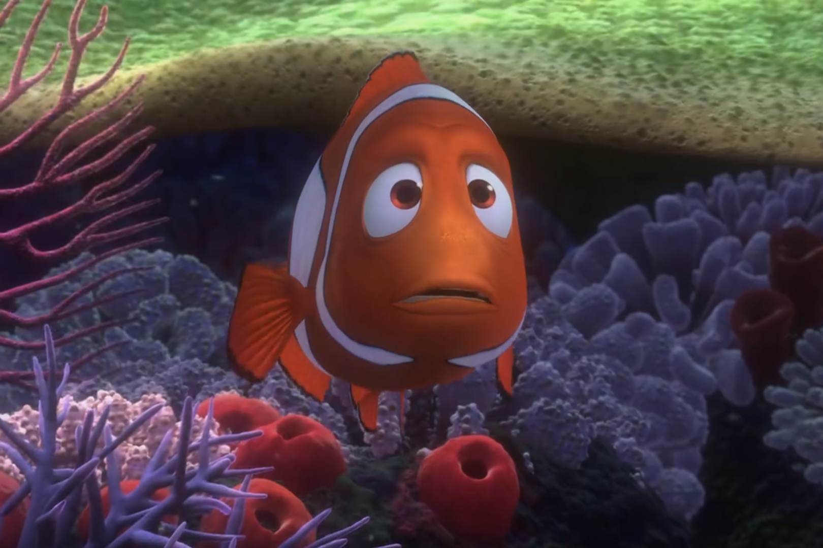  p>马林(marlin),是《 a target="_blank" href="/item/海底总动员