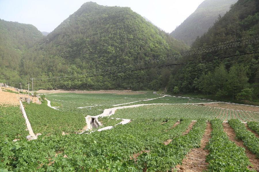  p>蜂桶乡,隶属于四川省达州市万源市,蜂桶乡地处万源市东南部,东邻