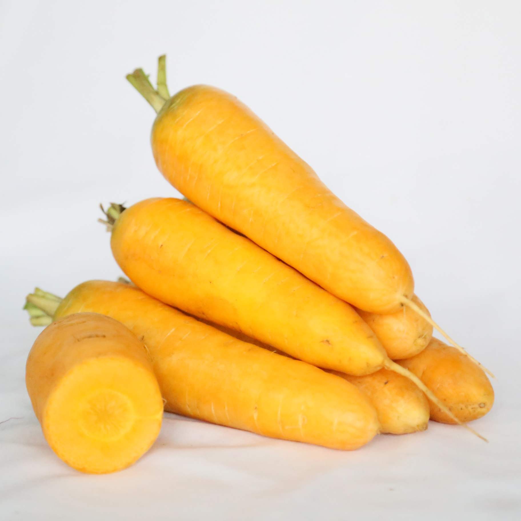 黄胡萝卜
