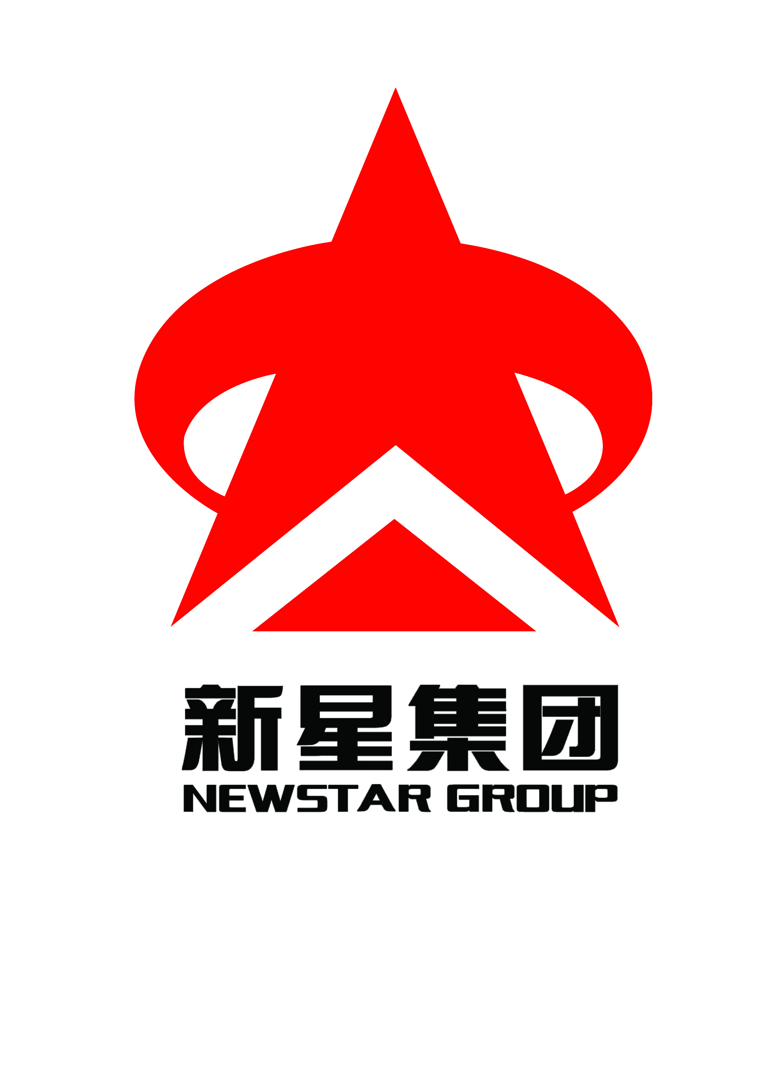 山东新星集团有限公司