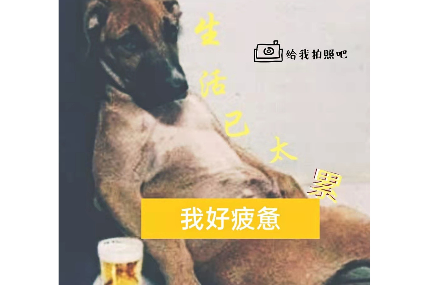 生活已太累我好疲惫