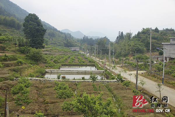  p>上坳头村隶属于湖南省郴州市桂阳县飞仙镇,属于丘陵地区.