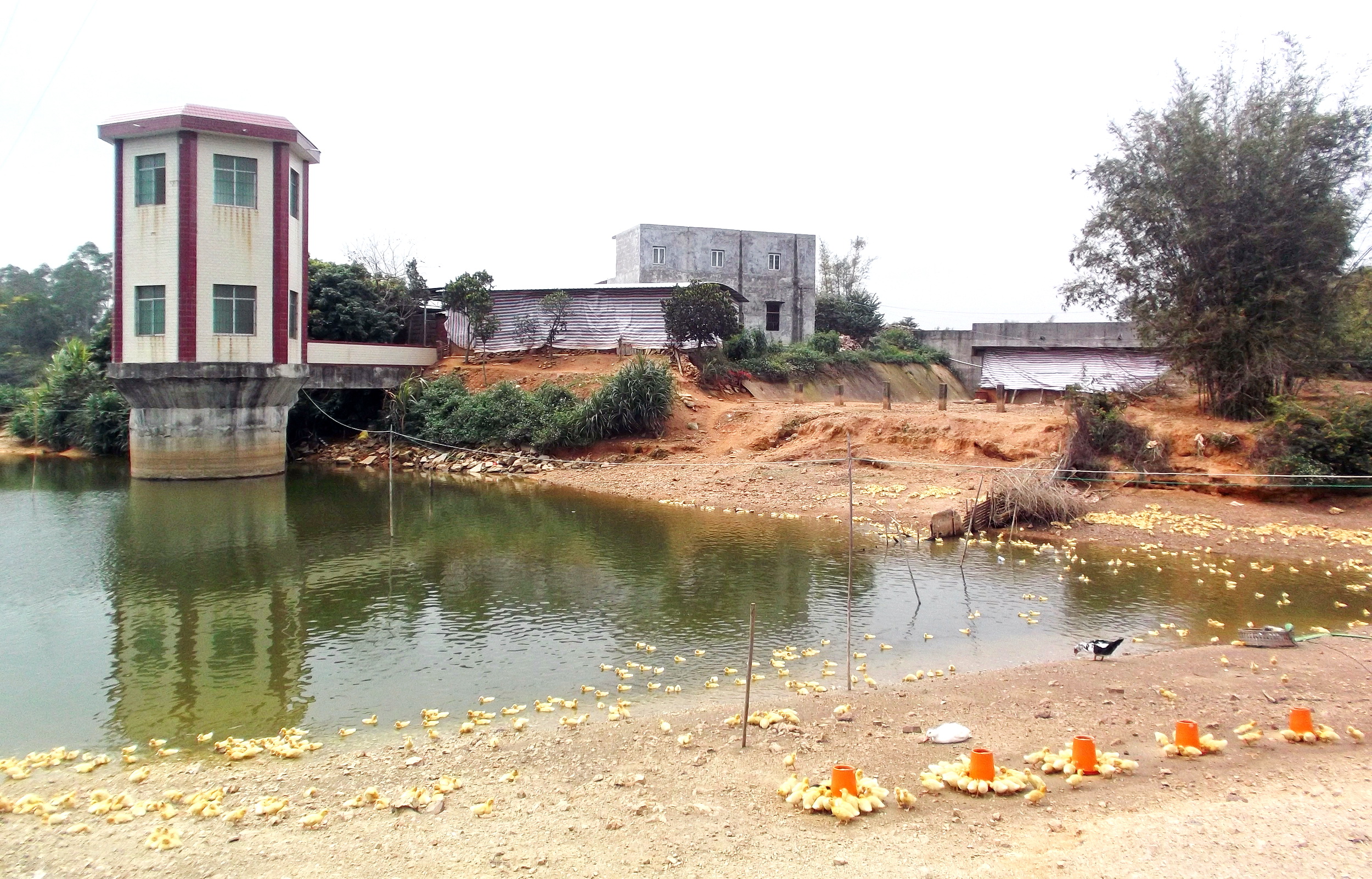 广西博白县龙潭镇