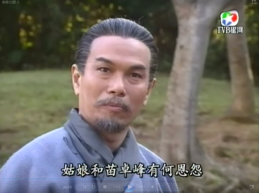 南拳王