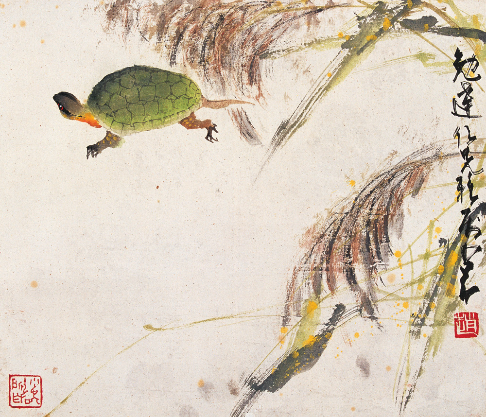 赵少昂
