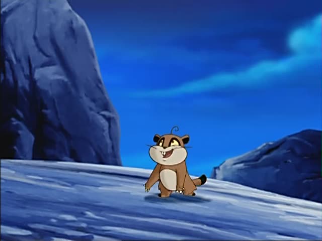 小猪熊 全网资源