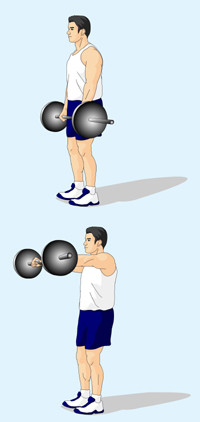  p>杠铃前平举是众多锻炼人体三角肌方法的一种,它利用 a href="#"