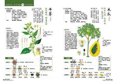 吃荤就是吃肉？持斋就是吃素？其实我们已经误读太久了_百科TA说