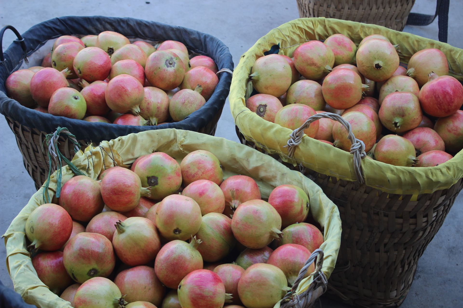  p>大田石榴,四川省攀枝花市仁和区特产,全国农产品地理标志.
