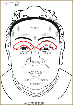 十二宫相论