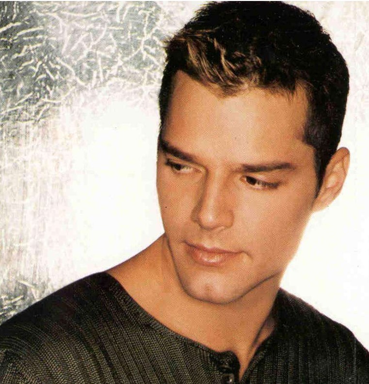  p>瑞奇·马丁(ricky martin),1971年12月24日出生于波多黎各圣胡安