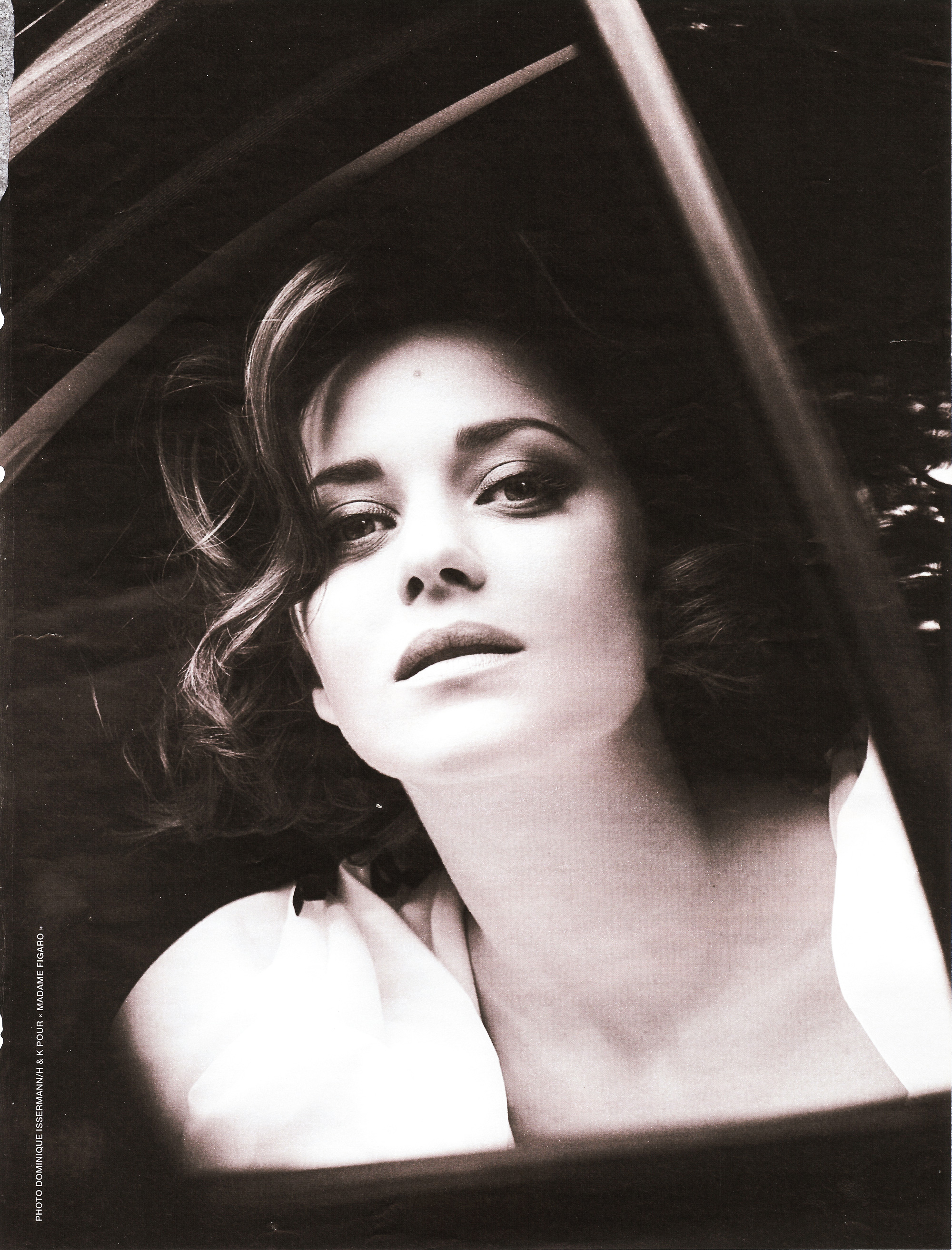 歌迪亚(marion cotillard),1975年9月30日出生于法国巴黎,法国女演员