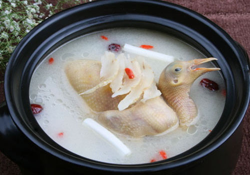 天麻鸽子汤