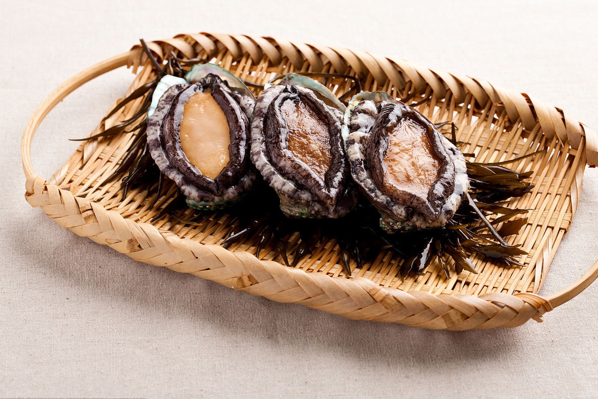  p>烟台鲍鱼,山东省 a target="_blank" href="/item/烟台市/781552"