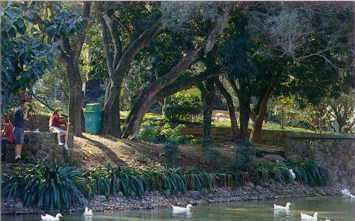 石排湾郊野公园