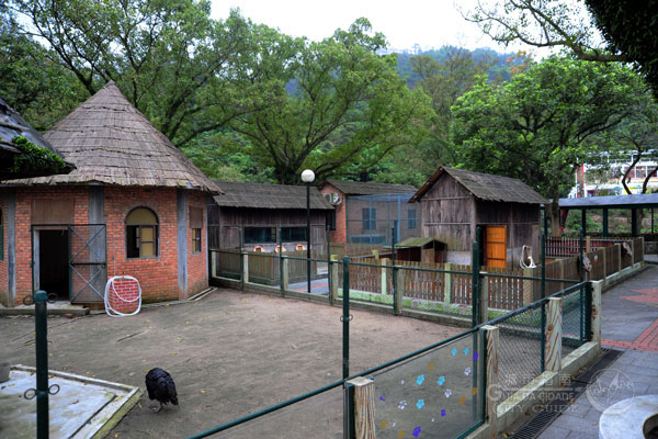 石排湾郊野公园