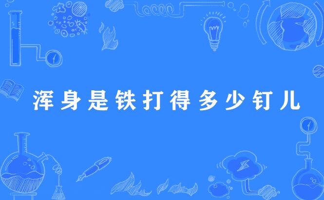 浑身是铁打得多少钉儿