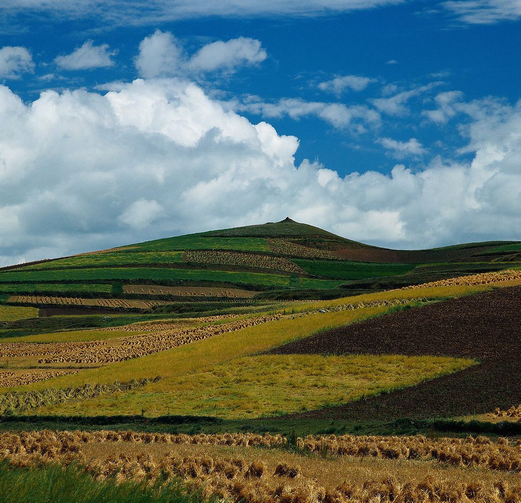 target="_blank" href="/item/平原">平原 /a>之间的过渡地貌类型