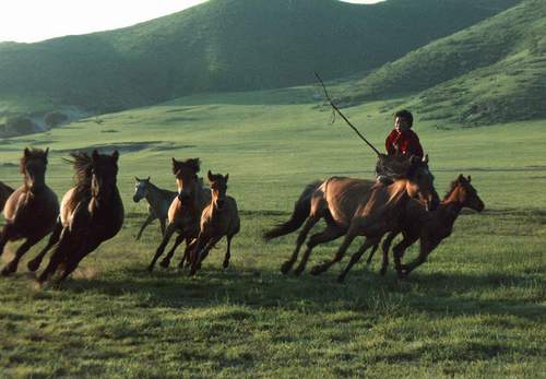 蒙古布鲁特部,属于以部落名称汉化为氏,在清朝中叶以后多冠汉姓为布氏