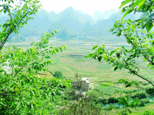 万峰林图片说明