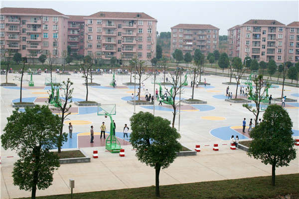 湖南省临澧县第一中学