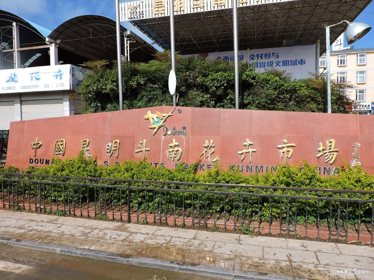 昆明市斗南花卉