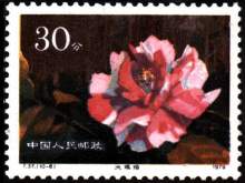 云南山茶花（1979年发行的特种邮票）_百度百科
