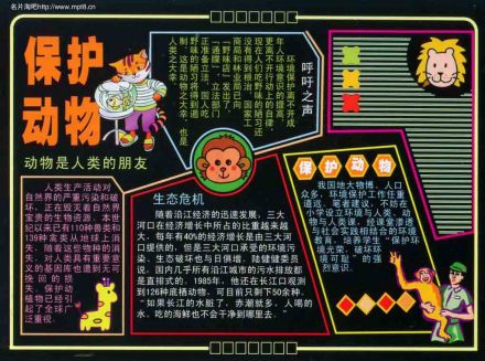 保护动物手抄报图片