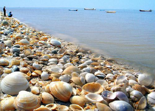  p>黄骅古贝壳堤自然保护区位于河北省沧州市 a target="_blank" href