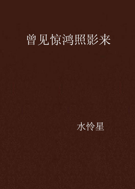 曾见惊鸿照影来