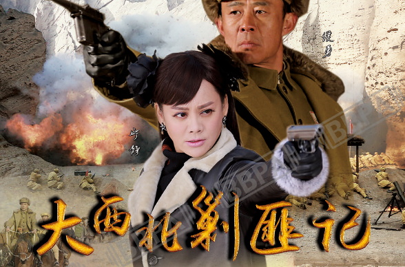 大西北剿匪记