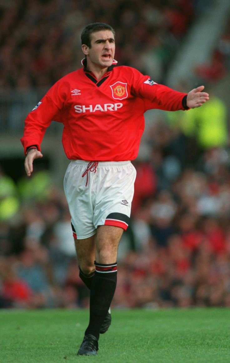 埃里克·丹尼尔·皮埃尔·坎通纳