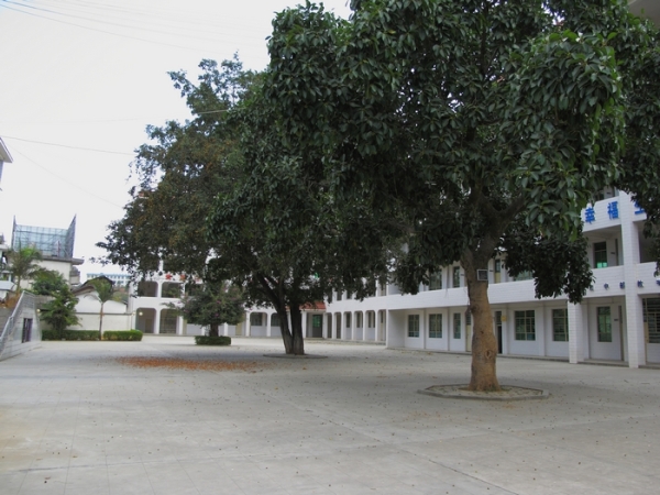 1960年 a target="_blank" href="/item/云县一中">云县一中 /a>完全