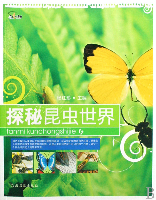 探秘昆虫世界