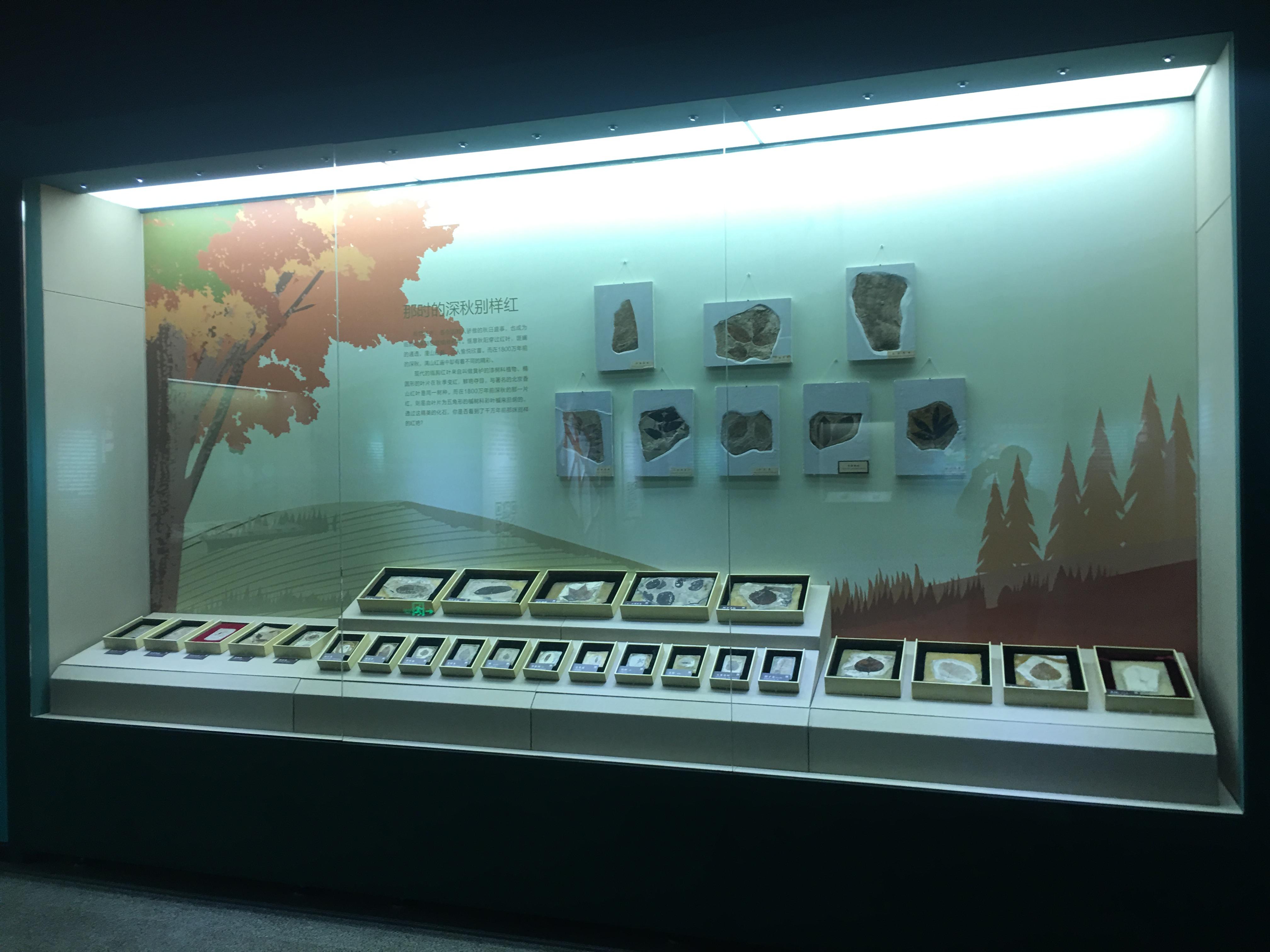  p>山东临朐山旺古生物化石博物馆,位于 a target="_blank" href="