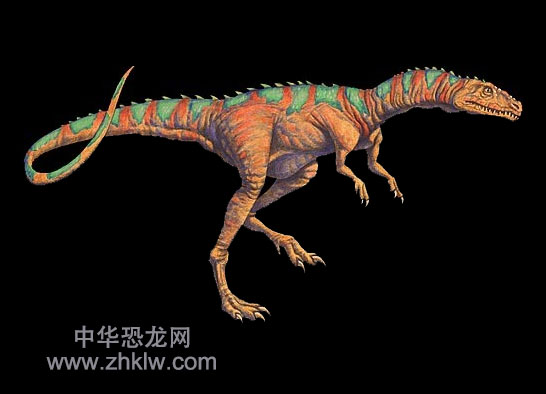 钦迪龙(chindesaurus)