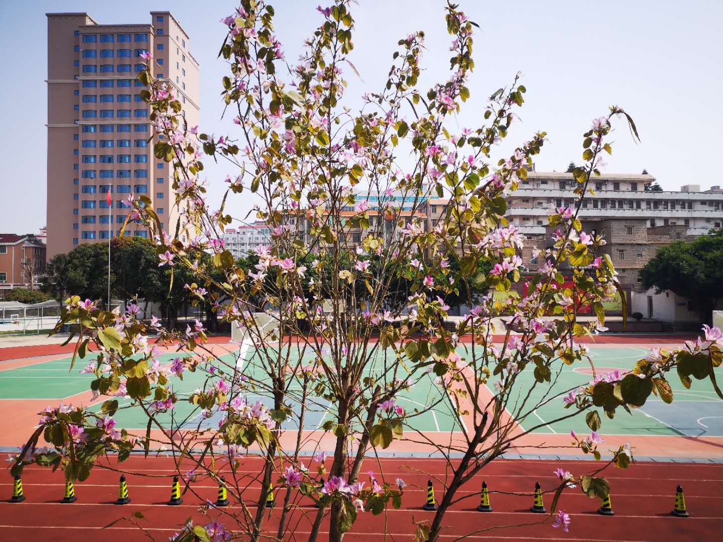 南安市水头中学