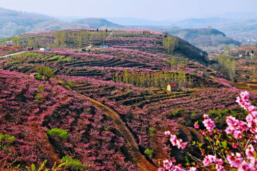 石首市_百度百科
